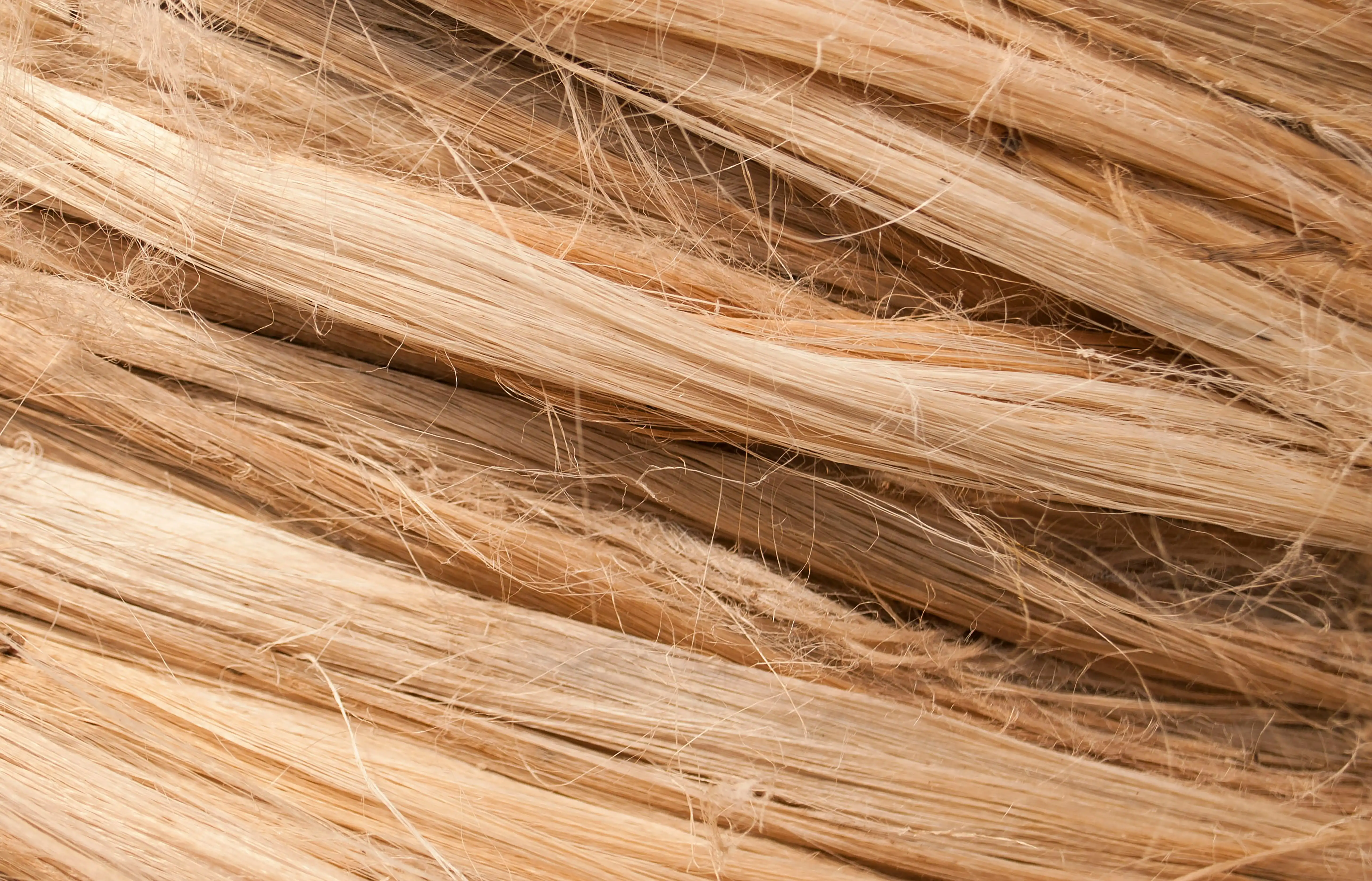 Undyed Fibers By-Products